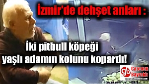 İzmir'de dehşet anları : İki pitbull köpeği yaşlı adamın kolunu kopardı