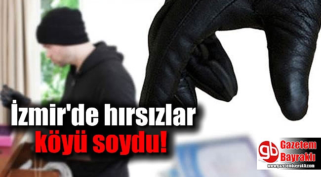 İzmir'de hırsızlar koca köyü soydu