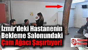 İzmir'deki Hastanenin Bekleme Salonundaki Çam Ağacı Şaşırtıyor