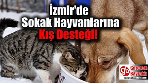 İzmir Sokak Hayvanlarına Kış Desteği