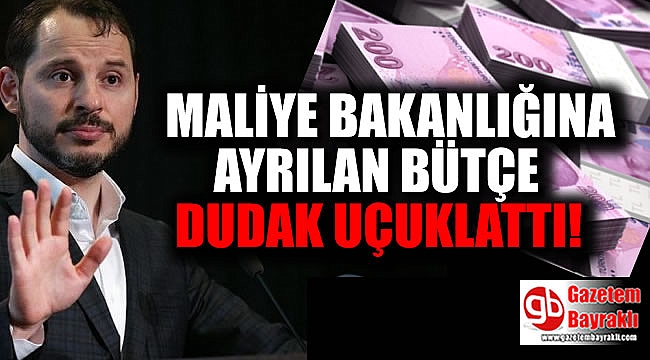 Maliye Bakanlığı'na ayrılan bütçe dudak uçuklattı