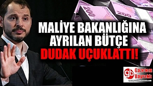 Maliye Bakanlığı'na ayrılan bütçe dudak uçuklattı