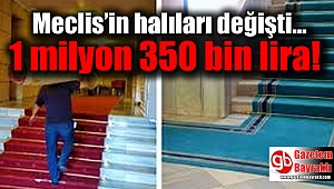 Meclis’te kırmızı halılar turkuaz oldu 1 milyon 350 bin lira harcandı