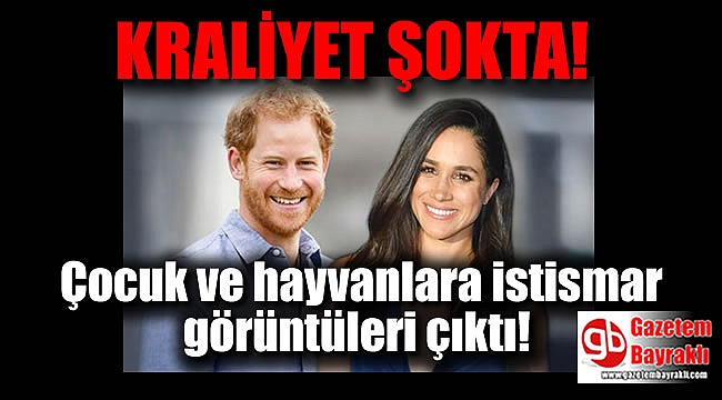 Prens Harry'e şok: Bilgisayarında çocuk pornosu ve hayvanlara tecavüz görüntüsü çıktı