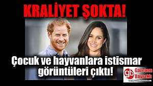 Prens Harry'e şok: Bilgisayarında çocuk pornosu ve hayvanlara tecavüz görüntüsü çıktı