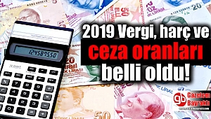 2019 Vergi, harç ve ceza oranları belli oldu