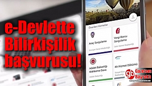 e-Devlette Bilirkişilik başvurusu