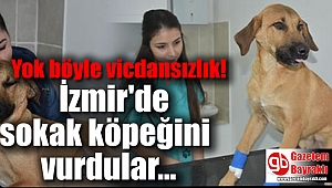 İzmir'de sokak ortasında yavru köpeği vurdular