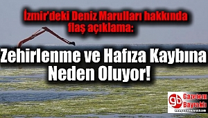 İzmir'deki Deniz Marulları hakkında flaş açıklama: Zehirlenme ve Hafıza Kaybına Neden Oluyor