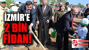 İzmir'e 2 bin fidan