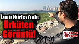 İzmir Körfezi'nde Ürküten Görüntü