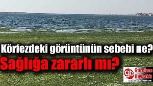 İzmir Körfezi'ndeki pisliğin sebebini uzmanlar yanıtladı