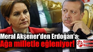 Meral Akşener'den Erdoğan'a: Ağa milletle eğleniyor