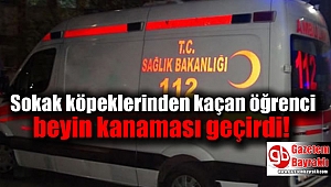 Sokak köpeklerinden kaçan öğrenci beyin kanaması geçirdi