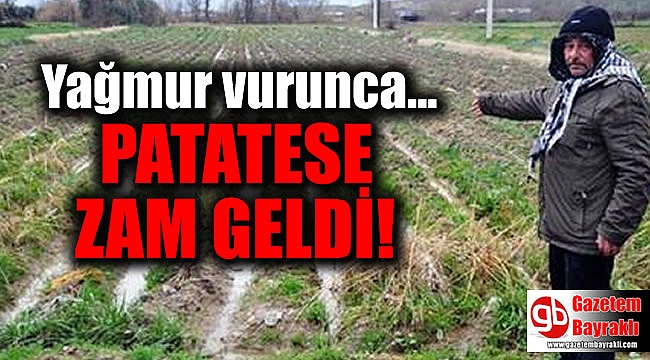 Yağmurlar, patates üreticisini vurdu