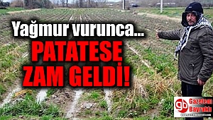 Yağmurlar, patates üreticisini vurdu