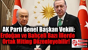 AK Parti Genel Başkan Vekili: Erdoğan ve Bahçeli Bazı İllerde Ortak Miting Düzenleyebilir