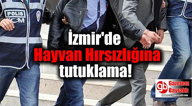 İzmir'de Hayvan Hırsızlığına tutuklama