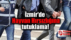 İzmir'de Hayvan Hırsızlığına tutuklama