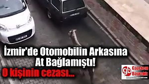 Otomobilin Arkasına At Bağlayan Kişiye Para Cezası