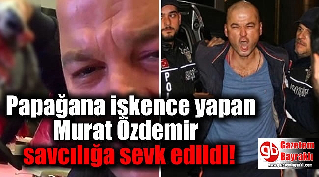 Papağana işkence yapan Murat Özdemir savcılığa sevk edildi