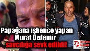 Papağana işkence yapan Murat Özdemir savcılığa sevk edildi