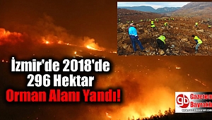 İzmir'de 2018'de 296 Hektar Orman Alanı Yandı