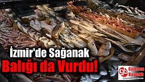İzmir'de Sağanak Balığı da Vurdu