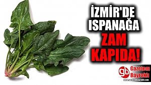 İzmir'e yaşanan yoğun yağışlar, ıspanağı vurdu