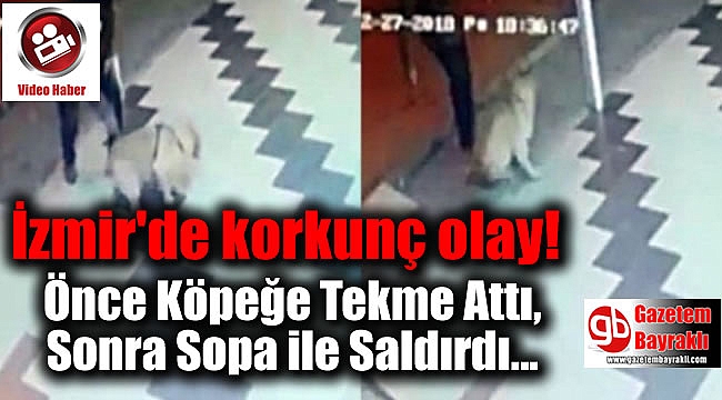 Önce Köpeğe Tekme Attı, Sonra Sopa ile Saldırdı