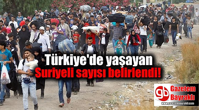 Türkiye'de yaşayan Suriyeli sayısı belirlendi