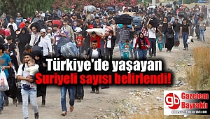 Türkiye'de yaşayan Suriyeli sayısı belirlendi