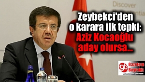 Zeybekci'den o karara tepki