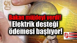 Bakan müjdeyi verdi: Elektrik desteği ödemesi başlıyor