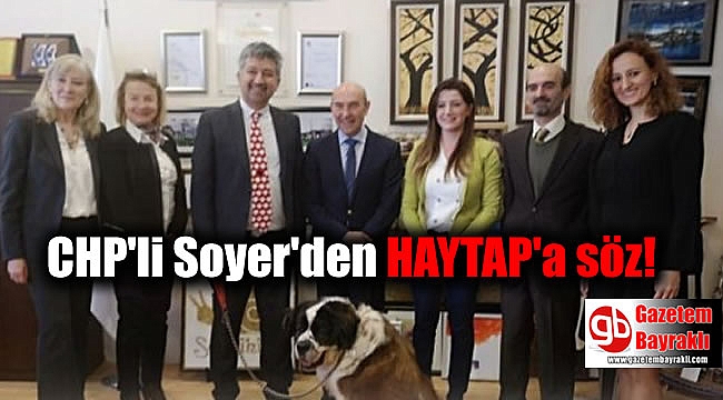 CHP'li Soyer'den HAYTAP'a söz