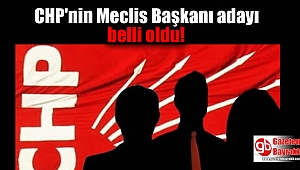 CHP'nin Meclis Başkanı adayı belli oldu