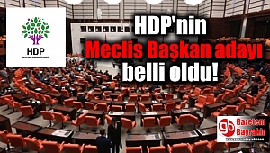 HDP'nin Meclis Başkan adayı belli oldu