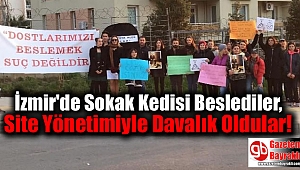 İzmir'de Sokak Kedisi Beslediler, Site Yönetimiyle Davalık Oldular