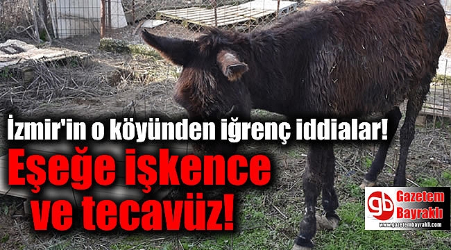 İzmir'in o köyünde iğrenç iddialar: Eşeğe işkence ve tecavüz