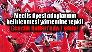 Meclis üyesi adaylarının belirlenmesi yöntemine tepki