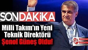Milli Takım'ın Yeni Teknik Direktörü Şenol Güneş Oldu