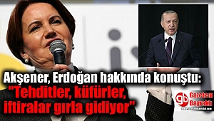 Akşener, Erdoğan hakkında konuştu: