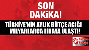 Bütçe Açığı Şubat Ayında 16,8 Milyar TL Oldu