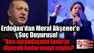 Erdoğan, Meral Akşener'e Suç Duyurusunda Bulundu