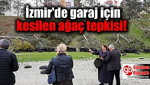 İzmir'de garaj için kesilen ağaç tepkisi