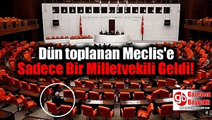 Dün toplanan Meclis'e Sadece Bir Milletvekili Geldi