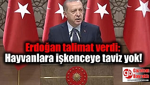 Erdoğan talimat verdi: Hayvanlara işkenceye taviz yok