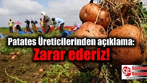 Patates Üreticilerinden açıklama: Zarar ederiz