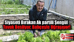 Siyaseti Bırakan Ak partili Şengül Tavuk Besliyor, Bahçeyle Uğraşıyor
