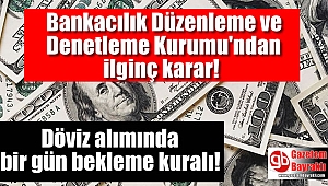 BDDK'dan ilginç karar: Döviz alımında bir gün bekleme kuralı